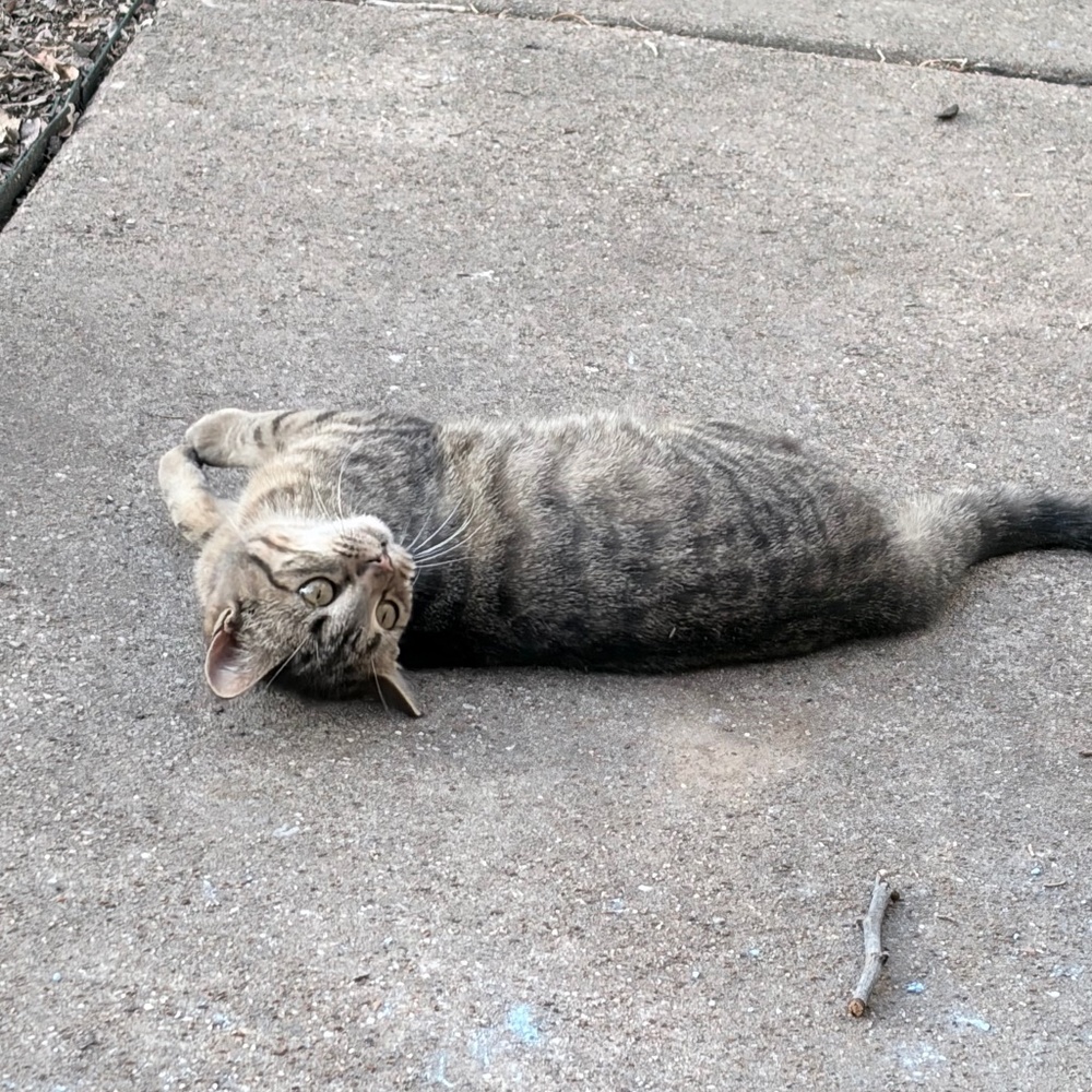 Meet your Posher, Jordan